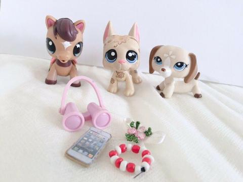 Littlest Pet Shop set