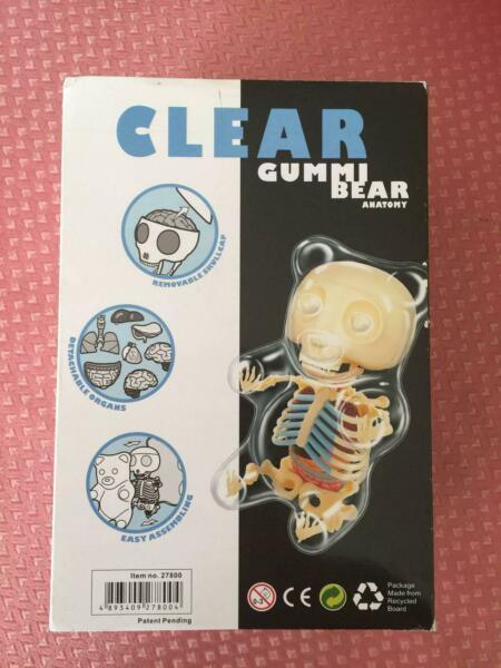 4D Master Gummi Bear Skeleton Anatomy Model Kit Clear