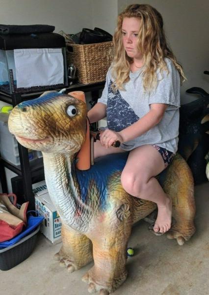 RIDE ON DINOSAURS FOR KIDS $600 EACH