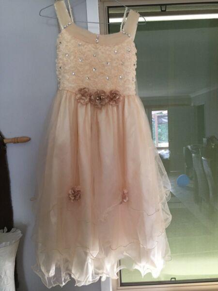 Girls special occasion dress size 12