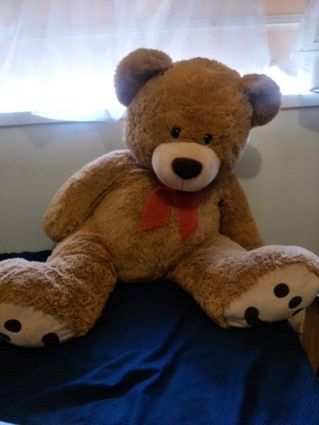 HUGE BEAR FOR VALENTINES DAY RRP $200