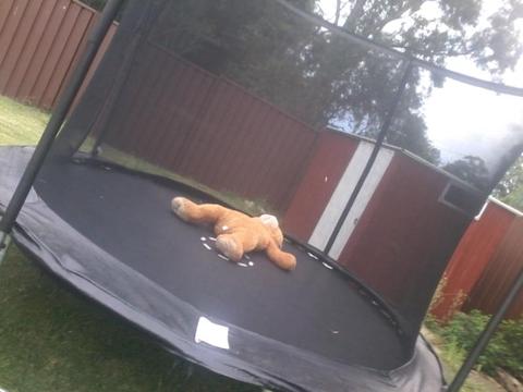 Great Condition Trampoline with netting *3 MONTHS OLD*