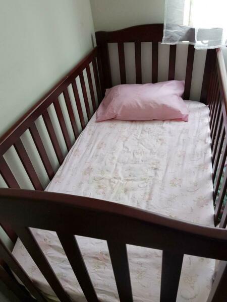Love n Care Cot and mattres $60