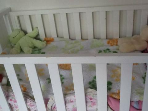 White King Parrot baby crib