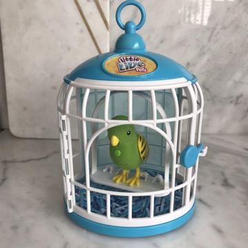 Little Live Pets Bird in Cage