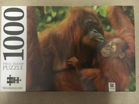 Jigsaw Puzzle - Orangutans
