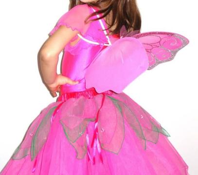 Fairy costume (One size fits all)