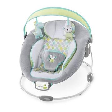 Ingenuity Soothe and Delight Bouncer (60389)