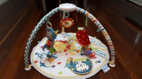 Fisher Price play gym