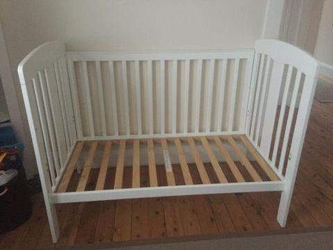 White Cot - Growtime