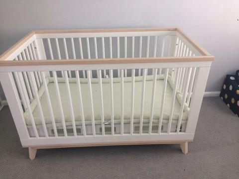 Baby cot & Toddler bed