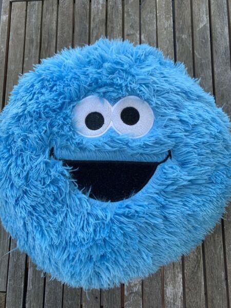 Cookie Monster Cushion