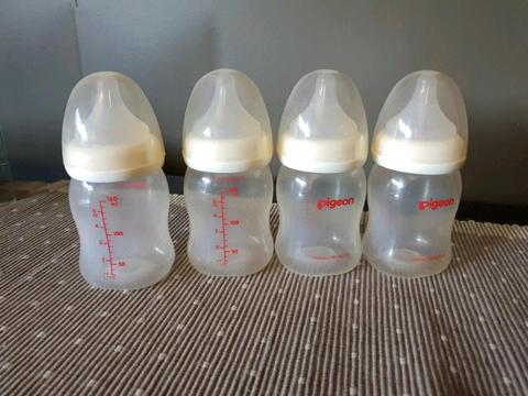 Pigeon baby Bottles with SS teats and lids