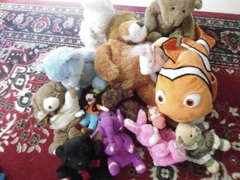 Large and smail stuffed animals good condition