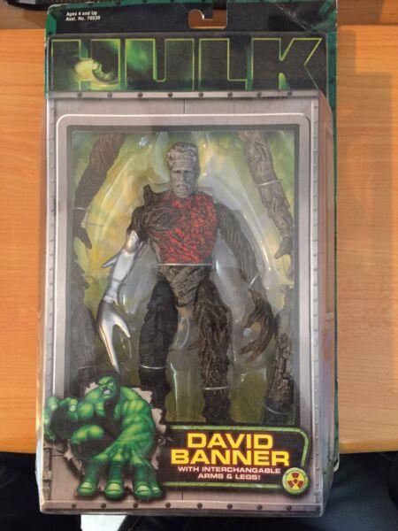 David Banner, The Incredible Hulk