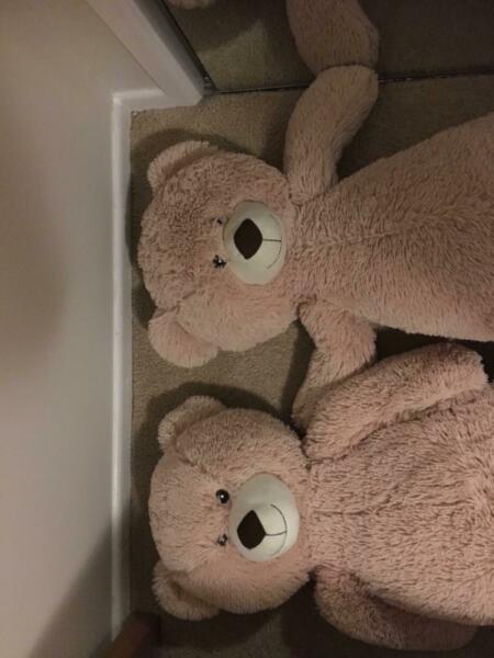 Teddy Bears large