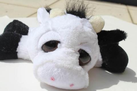 Stuffed Toy Cow with Big Eyes x 2