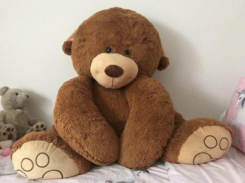 Wanted: Teddy Bear