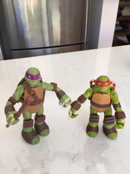 Donatello and michaelangelo ninja turtles