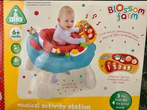 Baby Musical Activity Station