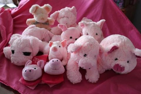 Soft Pig Collection