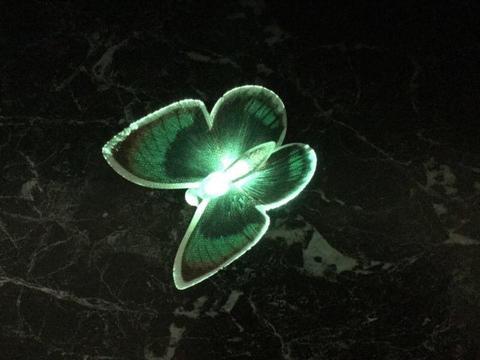 Light up butterfly, dark green, battery operated