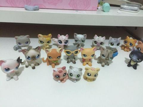 Lps lot