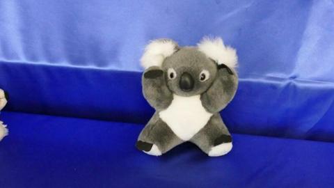 Koala - CA Australia brand - 22cms tall when seated