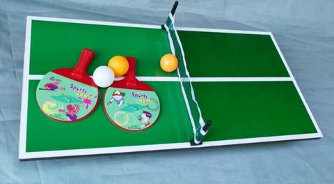 Tabletop Table Tennis Ping Pong 30cmx60cm Kids Toy Childrens Game
