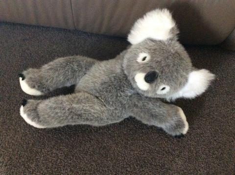 Wanted: Koala bear