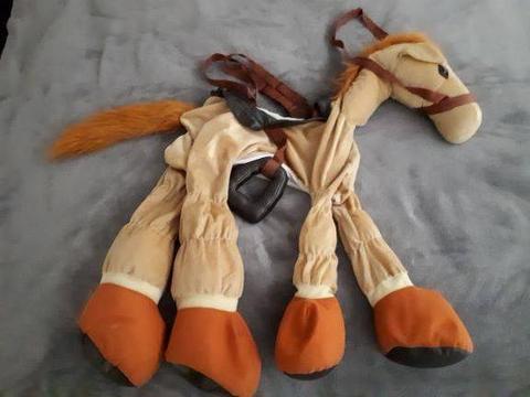 Horse Riding Dress-up