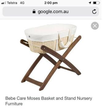 Baby moses basket
