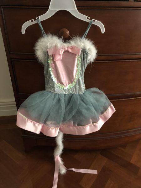 Mouse Dance Costume