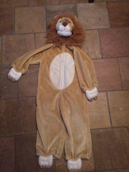 Lion kids dress up costume