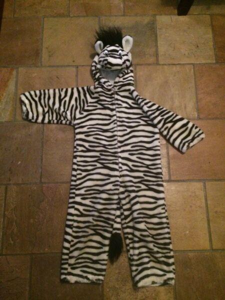 Zebra kids dress up costume