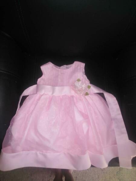 Girls Baby Size 0 Pink Formal Dress BNWT