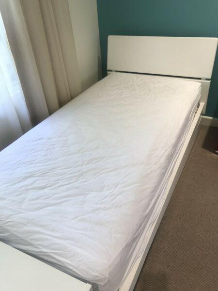 Single Bed Frame and Trundle