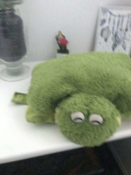 Wanted: Frog pillow pet - next to new