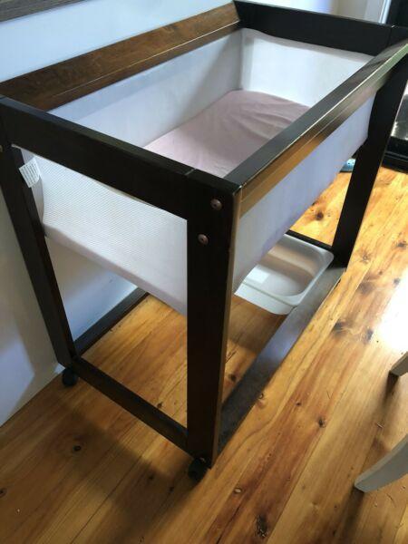 Wanted: King Parrot Cot Bassinet