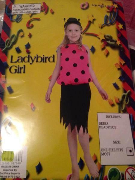 Lady Bird costume
