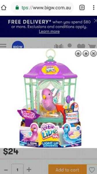 Little Live Pets - Light Up Song Bird