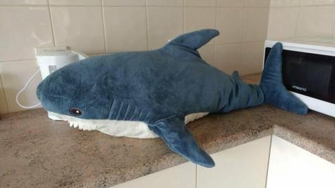 Soft toy, shark needs new home!