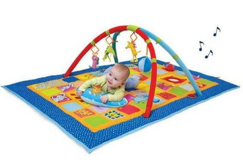 Taf Toys 3 In 1 Curiosity Gym Activity Mat