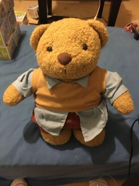 Teddy the teddy bear in clothing