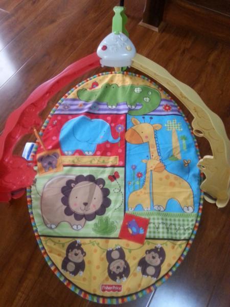 Fisher Price play gym