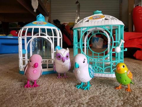 Toy birds and cages