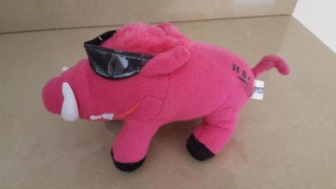 Hogs breath small pig toy