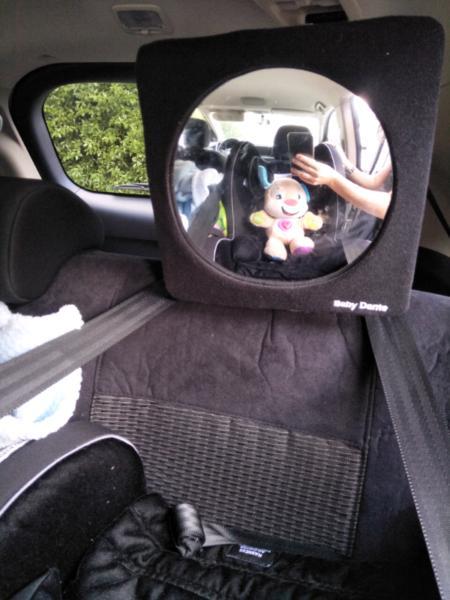 Baby Dante Car Seat Mirror