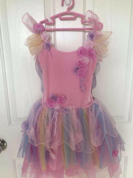 Fairy shop fairy dress