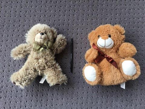 Two teddy bear soft toys